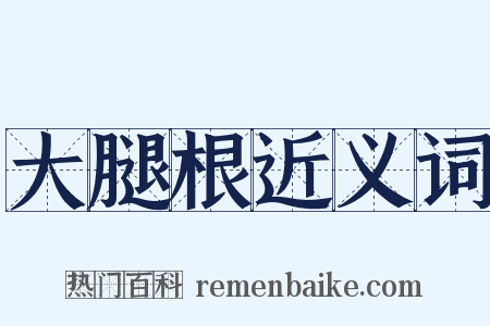 大腿根近义词是什么意思的图片